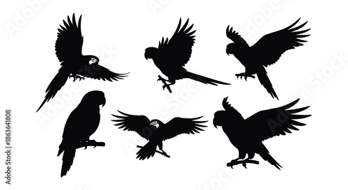 Silhouette illustrations of various parrots in different poses and arrangements