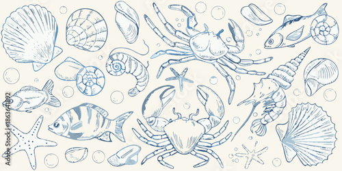 A beautiful arrangement of sketched marine life and seashells in blue tones