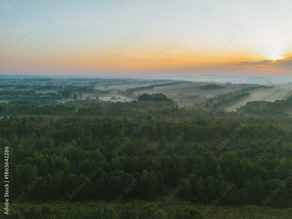 Fototapeta premium Sun rising over foggy forested countryside