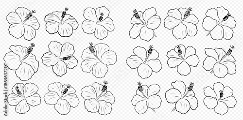 Monochrome Hibiscus Flowers Seamless Pattern with Elegant Floral Elements on White Background.
