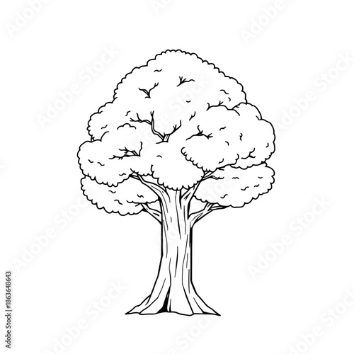 A black and white illustration of a tree with a thick trunk and a large canopy