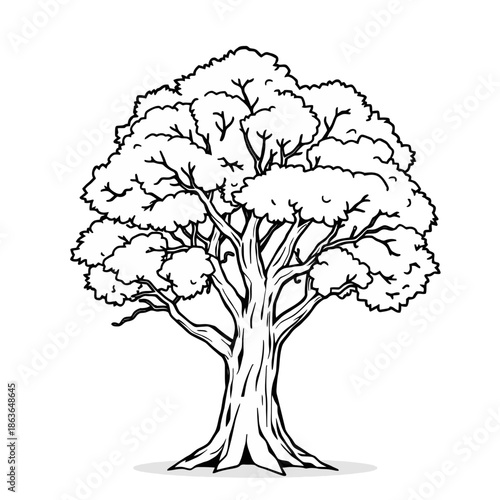 A large, mature tree with a thick trunk and sprawling branches is illustrated in a simple black and white line drawing style on a plain white background.