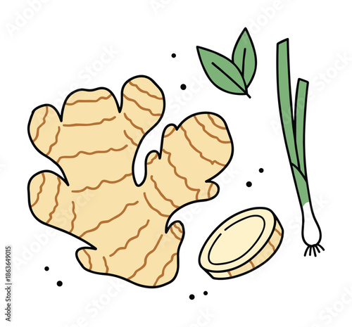 Ginger root, green onion, and herbs drawing. Healthy, organic food ingredient illustration with black outline.