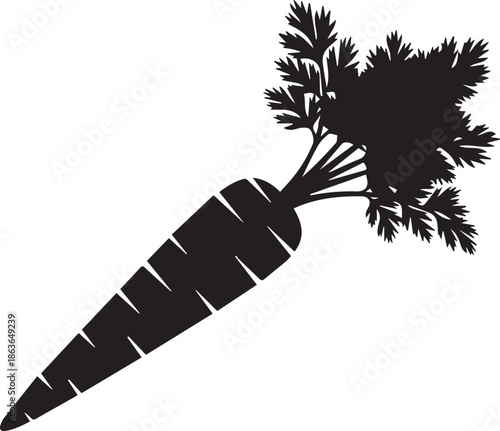 Single carrot with green top