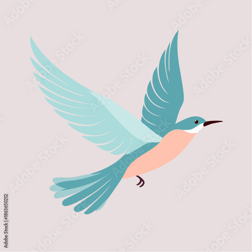 Blue Bird in Flight with Open Wings.