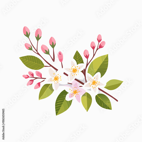 Beautiful Pink and White Flowers Blossoming.