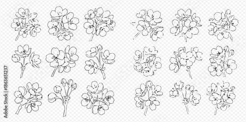 Collection of hand-drawn apple tree blossoms, delicate floral elements for spring and nature designs.
