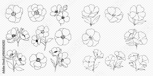 Set of hand-drawn flower outlines, delicate botanical illustrations for design projects and creative endeavors.