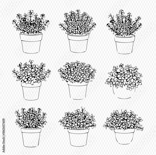 Set of hand-drawn succulent plants in pots, black and white line art illustration for home decor or gardening designs.