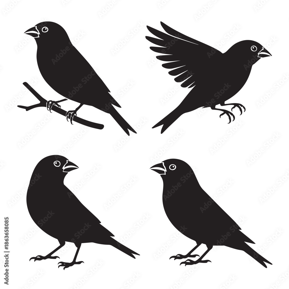 Fototapeta premium A set of four black bird silhouettes in different poses on a white background