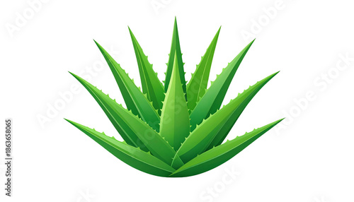 Minimal flat illustration of aloe vera plant with clean lines and soft green palette, modern vector style, centered composition, isolated on transparent background, design and branding friendly