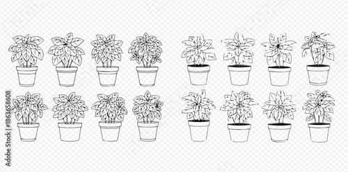 Set of Outline Drawings of Various Potted Plants and Flowers for Home Decoration.