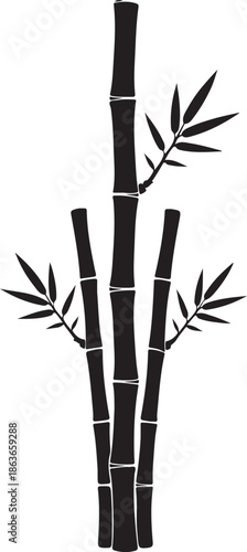 Black Silhouette of Bamboo Stalks and Leaves Isolated on White Background for Zen and Nature Design