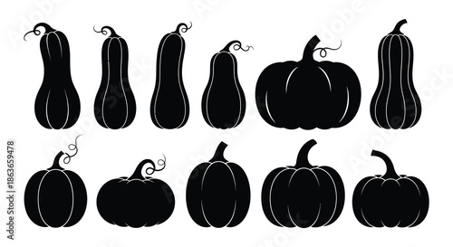 A collection of black silhouette pumpkins and gourds in various shapes