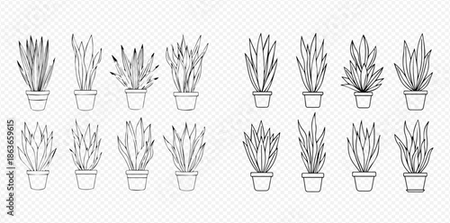 Set of hand-drawn potted house plants for home decoration and gardening.