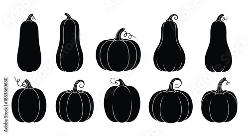 A collection of black silhouette pumpkins and gourds in various shapes