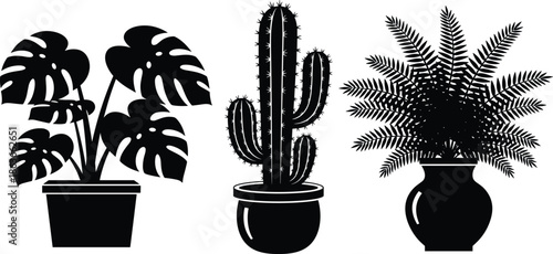 Potted houseplants silhouettes vector illustration set, monstera, cactus and fern indoor plants, modern home decor, botanical design, minimal black icons