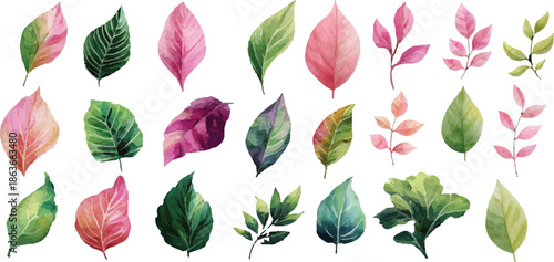 vector set of leaves