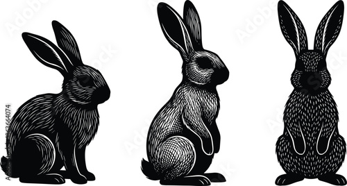 Set of three black rabbit silhouettes featuring detailed white engraving style fur texture, sitting and standing poses isolated on white background.