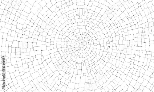 Grain noise black white grunge texture
Abstract grunge pattern with cracks and dots