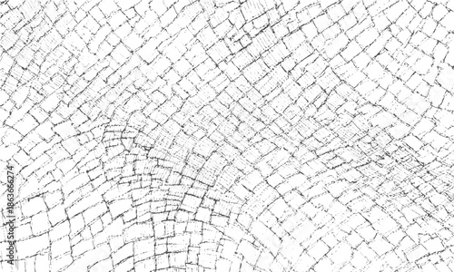 Dirty eroded gray wall grunge texture background
Vintage rough gray texture with rustic grunge effect