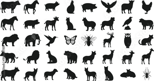 Silhouettes of 40 diverse animals including domestic, wild, aquatic, and insect species, black figures, transparent background, nature and classification illustration