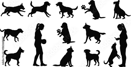   
Silhouettes of dogs and person in interactive poses, black figures, dynamic posture, transparent background, pet training and behavior illustration