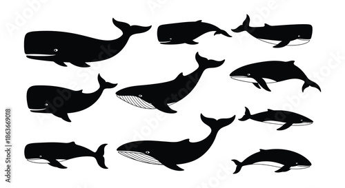 A collection of various whale silhouettes in black and white tones