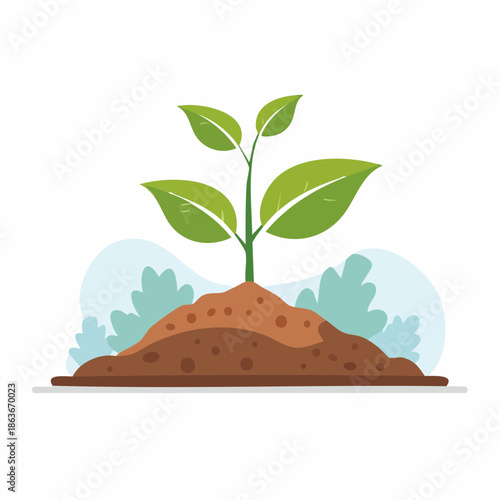 Small green plant growing out of brown soil with leaves.