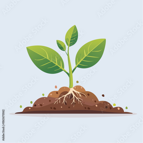 Young green plant growing in soil with visible roots.