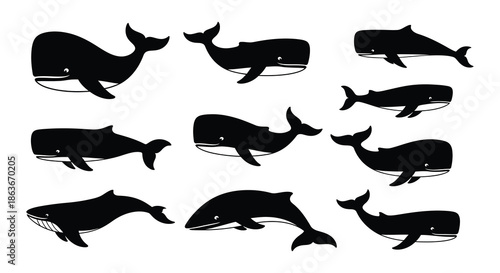 A collection of various whale silhouettes in black and white tones
