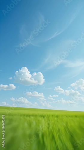 Green Wheat Field with Blue Sky and Clouds, Agriculture and Nature, Wind Farm Scenery