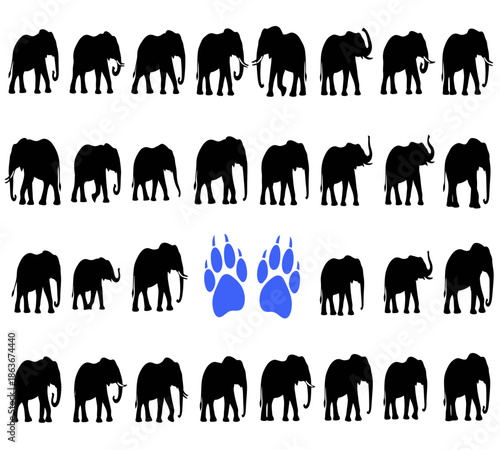 A collection of silhouettes depicting numerous elephants with a small group of blue paw prints among them