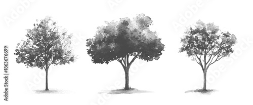 Vector White And Black Minimal Nature Tree Assets Isolated on White