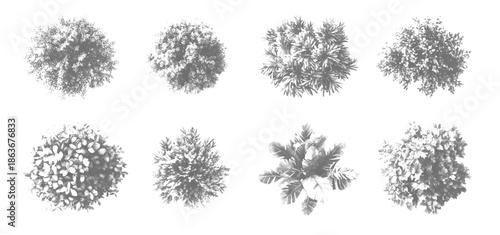 Vector White And Black Architectural Landscape Trees on White Background