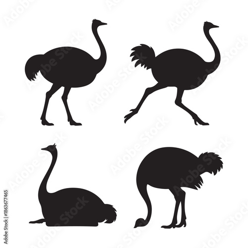 Four black silhouettes of ostriches in different poses on a white background