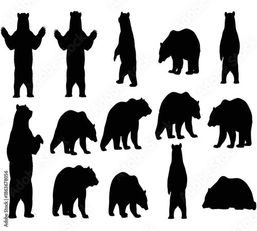 A collection of various black silhouettes depicting bears in different poses and perspectives showcasing wildlife