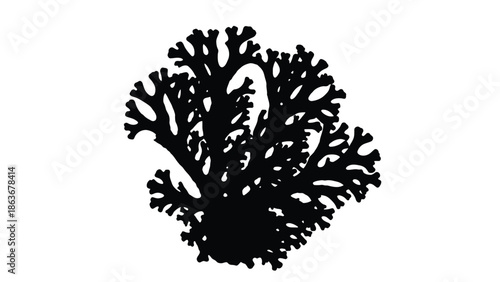 a detailed black and white illustration of a branching coral formation with intricate patterns and organic shapes