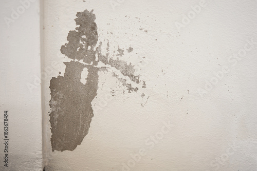 The paint on the walls started peeling due to moisture.