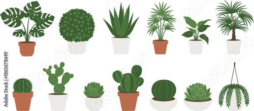 Set of indoor houseplants and cacti in pots, modern green home decor botanical collection, flat vector illustration design