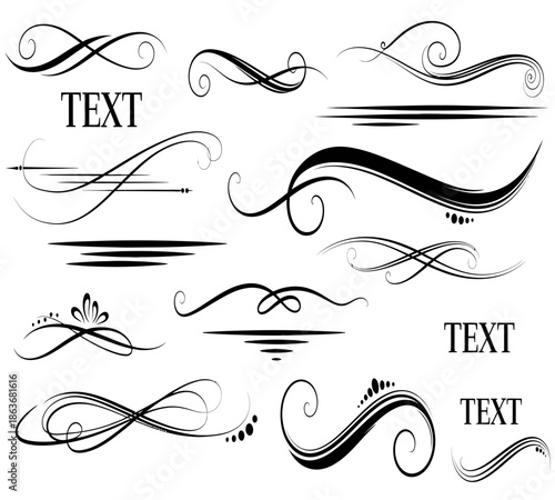 An assortment of elegant black swirls flourishes and lines offering decorative elements for design projects and artistic expression