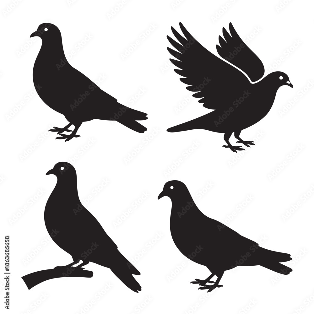 Fototapeta premium Four black silhouette pigeons on a white background with various poses and one on a branch