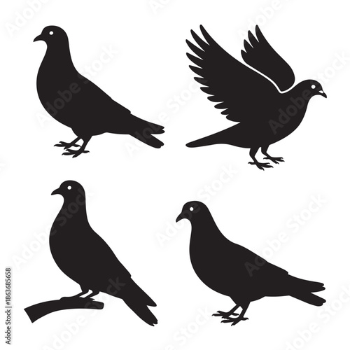 Four black silhouette pigeons on a white background with various poses and one on a branch
