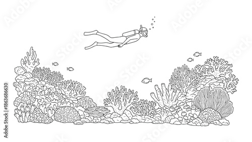 Underwater exploration in coral reef line art with snorkeler and marine life
