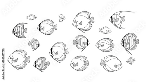 Hand drawn aquatic design: variety of intricate fish patterns in line art