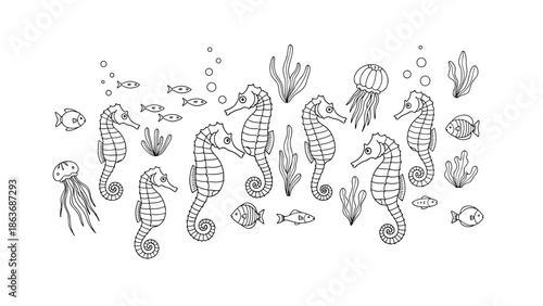 Black and white seahorse and marine life doodle with jellyfish and fish