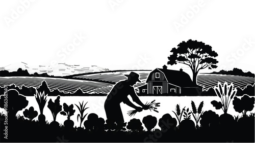 Farmer harvesting fresh vegetables in a sunlit field with a barn in the background.