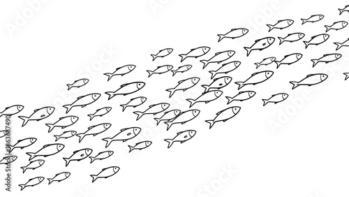 School of fish swimming in formation on a white background