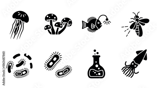 Set of black silhouette icons of marine life, mushrooms, and science elements