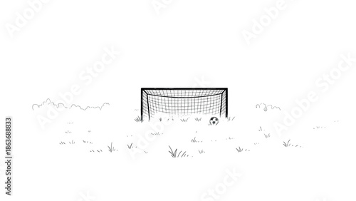 Minimalist soccer goal in grassy field with ball